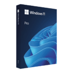 Windows 11 Pro product key