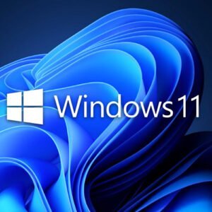 Windows 11 Pro - One time